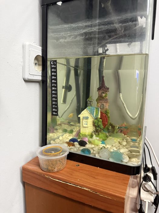 Akvarium sotiladi filtr dekor есть ideal uy va ofes uchun срочно