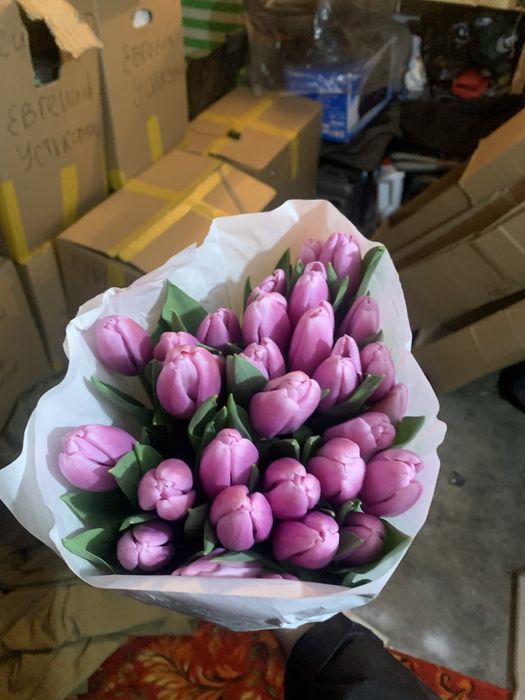 Тюльпаны на 8 марта