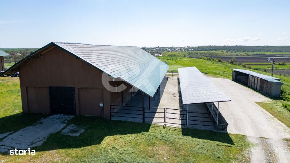 Black Angus Farm with authorized Slaughterhouse
