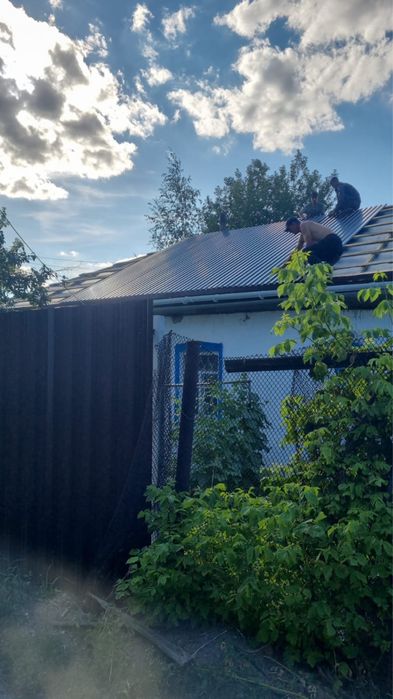 Ремонт жесткой кровли