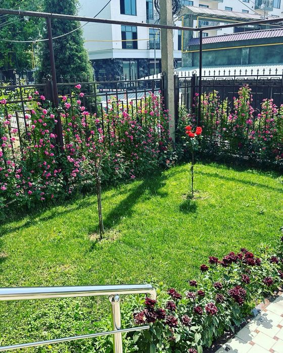 Готовый действующий бутик-отель в сердце Ташкента — парк Ашхабад.