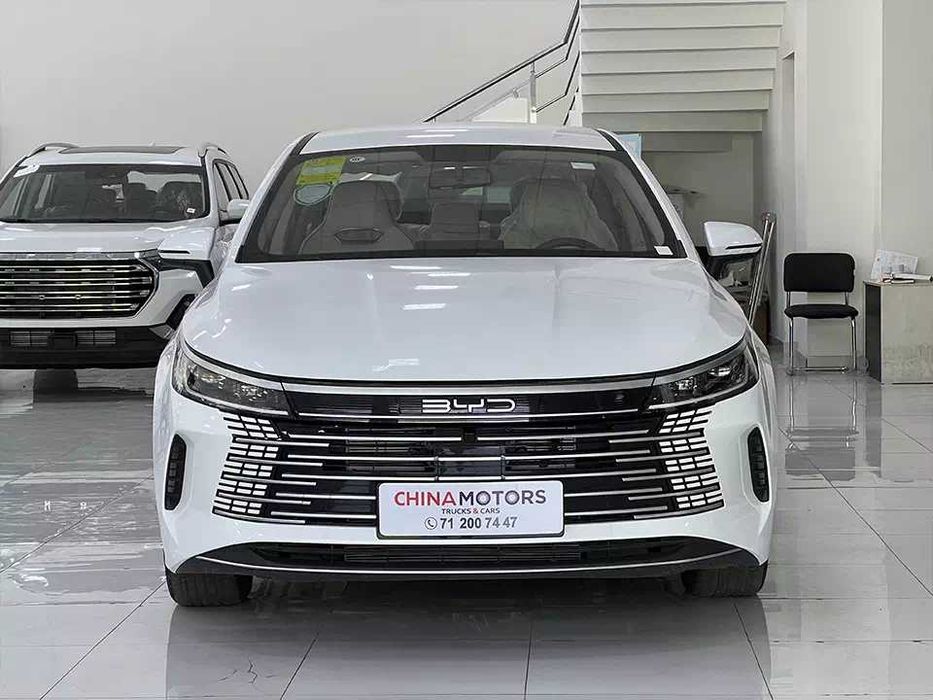 Решетка радиатора на BYD DESTROYER 05 '22-