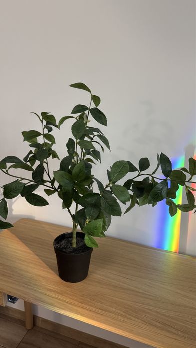 Planta artificiala Fejka Ikea