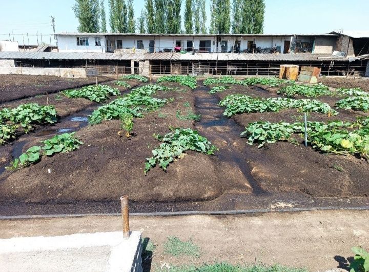 Недорого биогумос и другие биоудобрения.