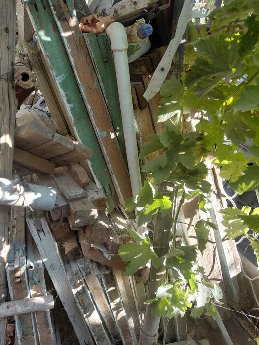 Ойна эшик ромлари