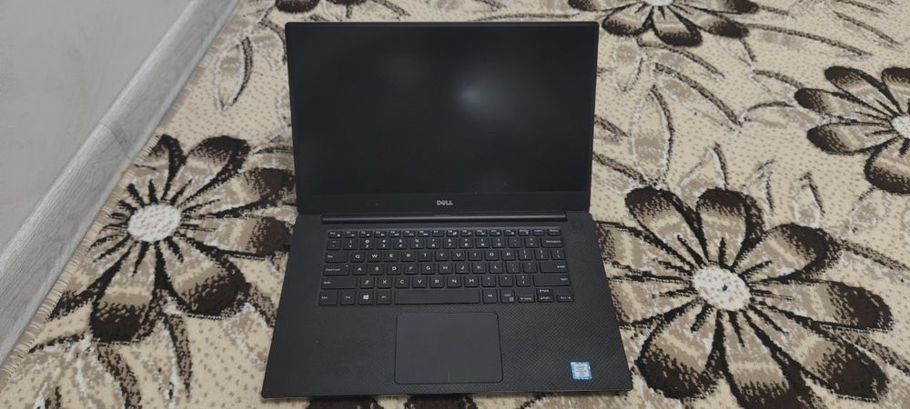 DELL precision 5520 ( + mishka)