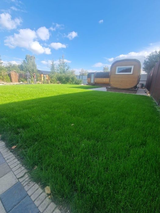 Газон рулонный посевной