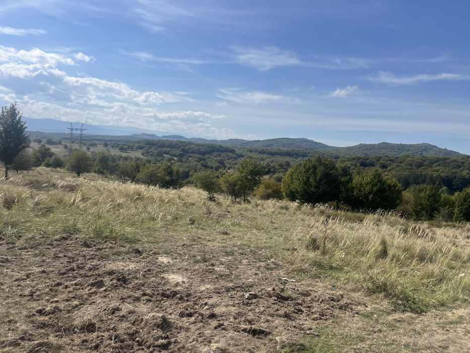 Vand sau schimb !Teren in polilnica (vladeni brasov