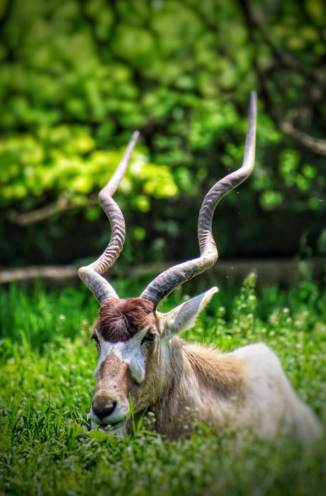 Обектив Tamron 18-400mm за Canon EF и RF