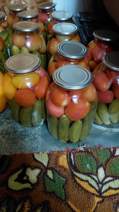 Продам соленье свежие