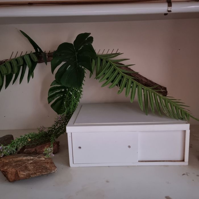 Терариум за влечуги