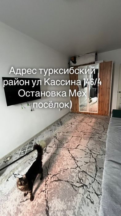 Квартира Турксиб