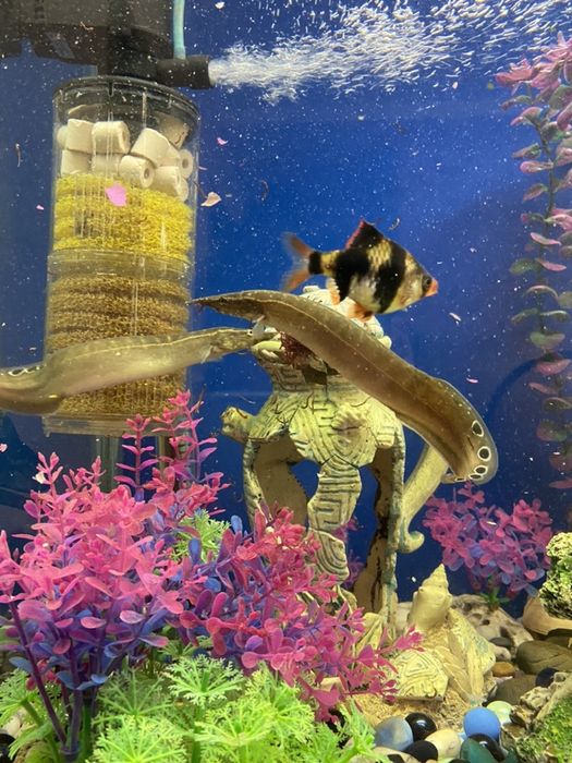 Продам аквариум на 130 литров