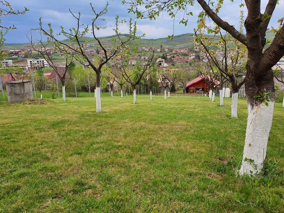 85.800 €, Teren în LIVEZENI, 780 MP, str Pădurii, 110  €/MP