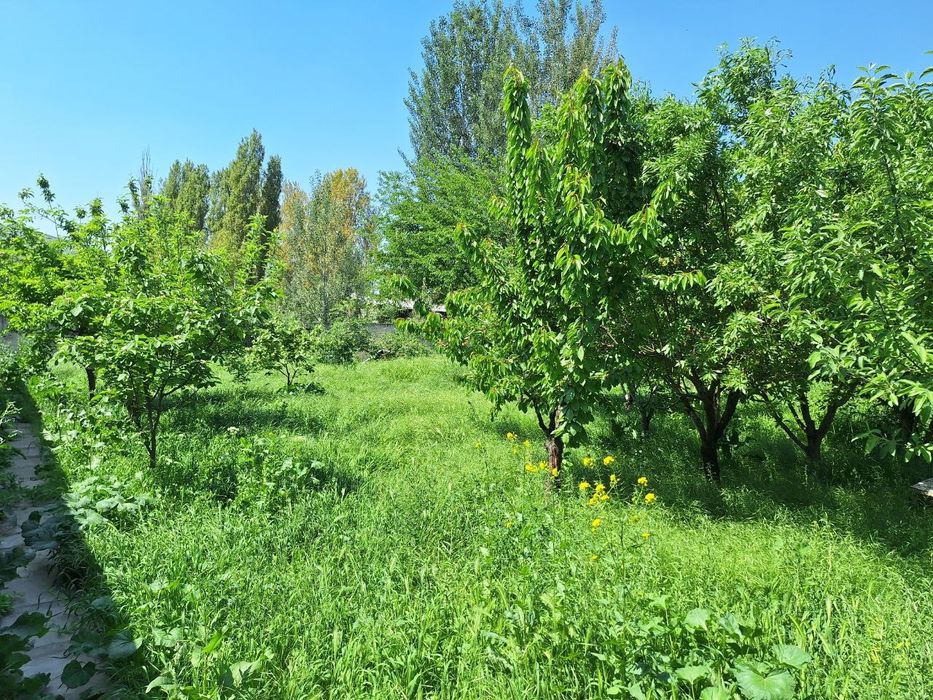 7 сотих ховли сотилади