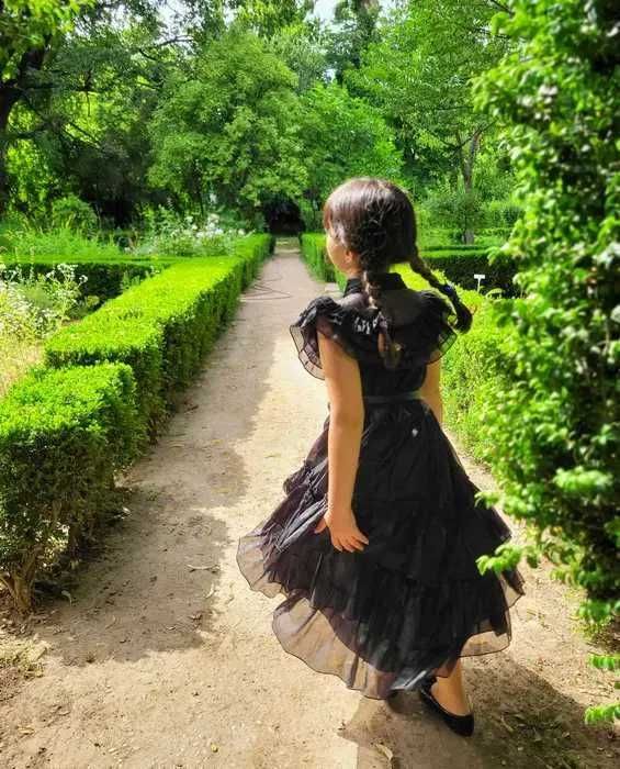 Rochia rochita carnaval si mana Wednesday NOI