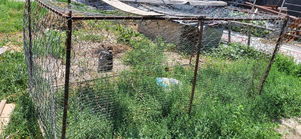 Вольер в сетку, цена 20000