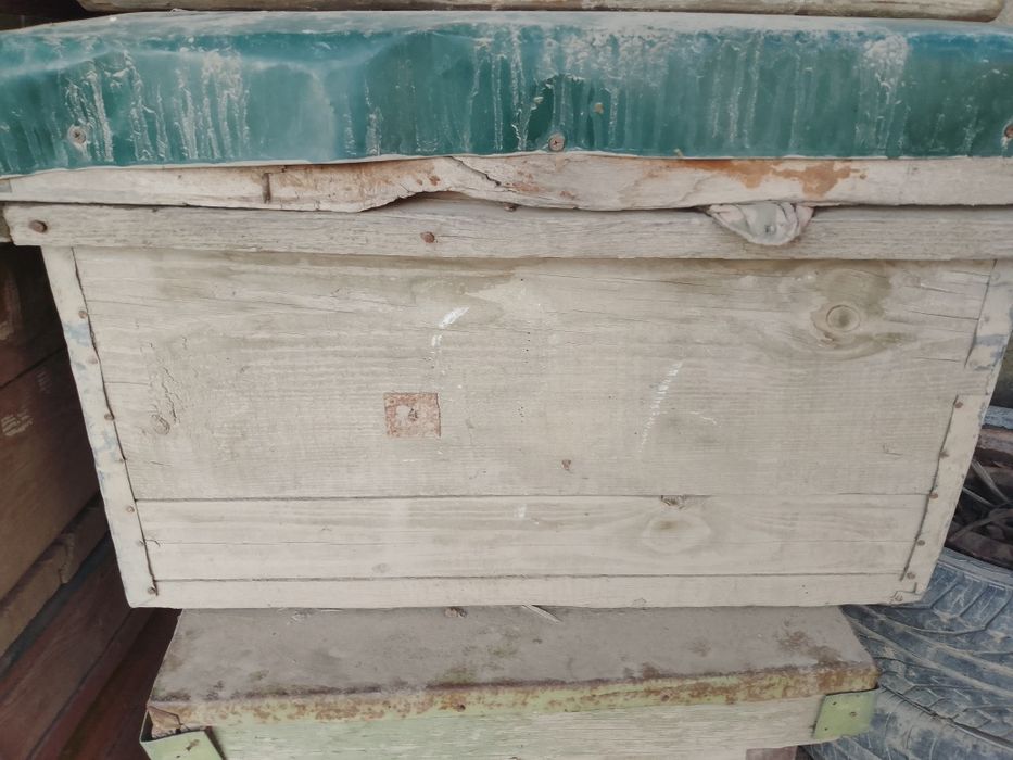 Asalari yashiklari sotiladi narxi 250000 kelshiladi koʻproq olinsa 200