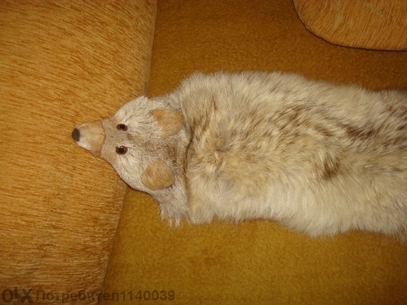 Яка от цяла лисица