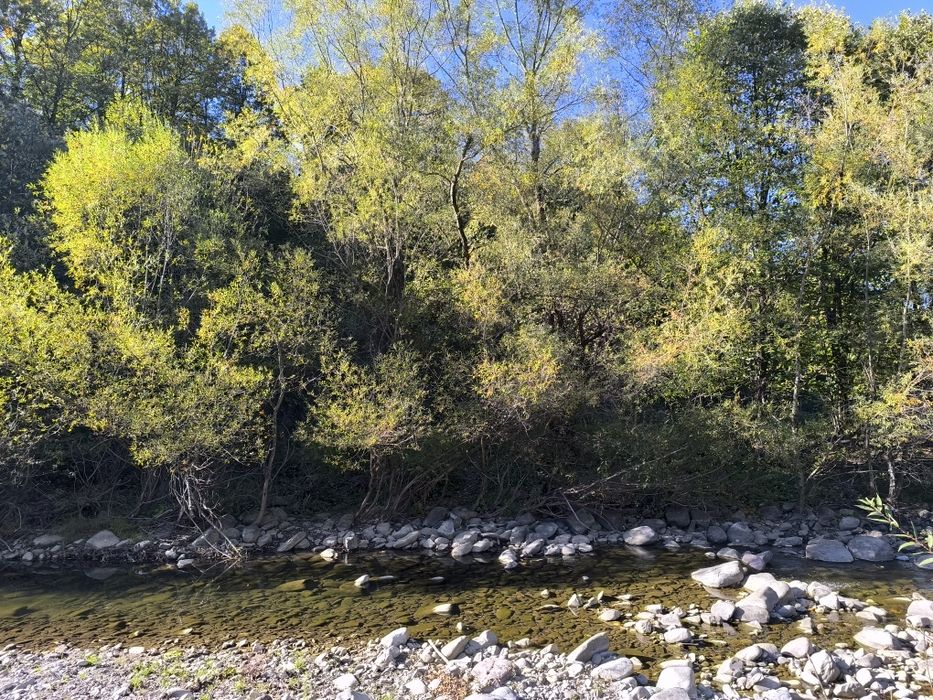 Продава се Парцел в с. Черни Осъм, Област Ловеч - 3150 кв.м за 3 €/кв.м - Снимка #7