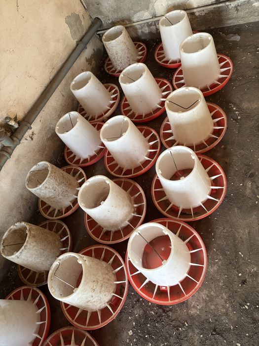 Кормушка для птиц