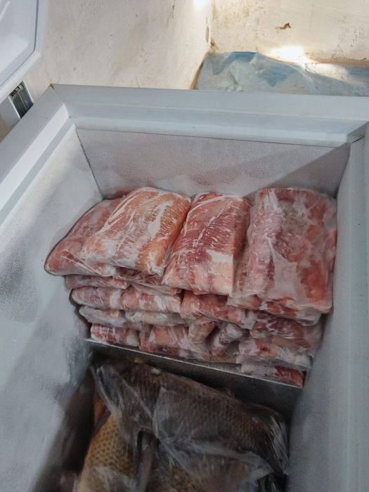 Свежая рыба сазан