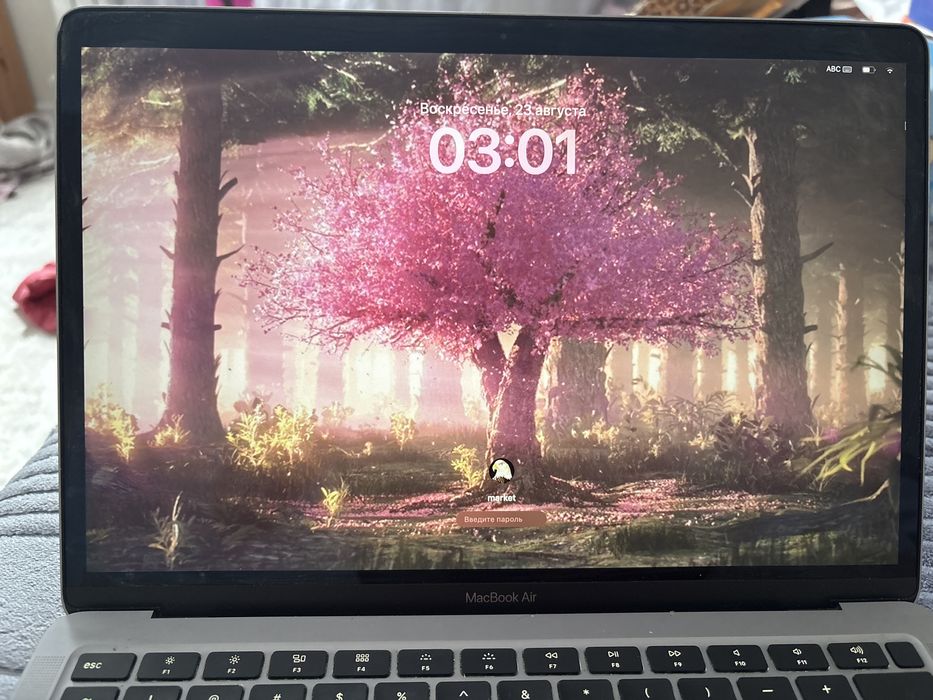 MacBook Air 2020