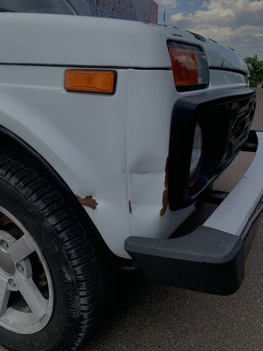 Нива, в идеальном состоянии