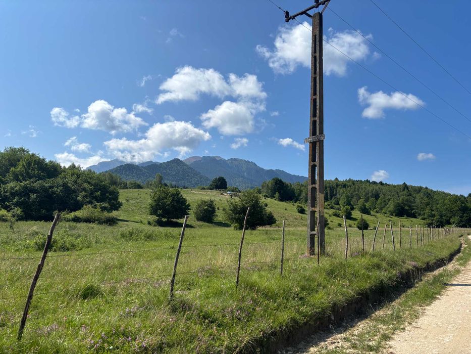 teren de vanzare Rasnov