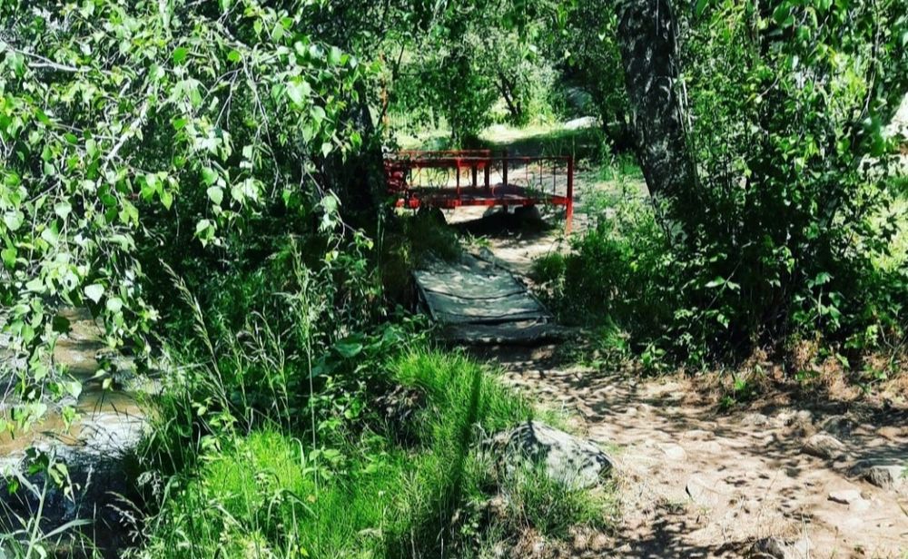 Chimyon tapchan beryoza rechkaga dam olishga keling