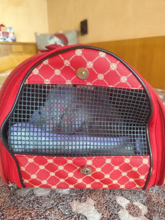 Чанта за домашни любимци