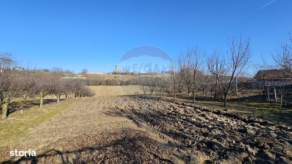 Casă / Vilă , Salcea, Suceava