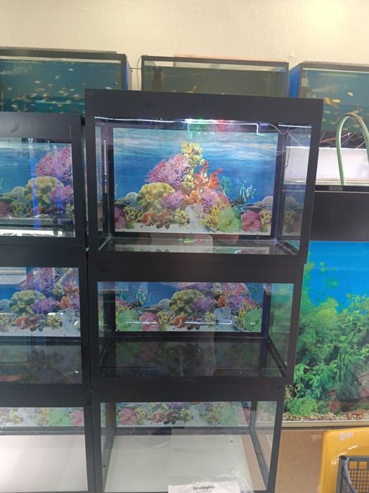 Akvarumla sotiladi  50 uzunasi 36 boʻyi 26 eni 46litr. 4 li oynadan