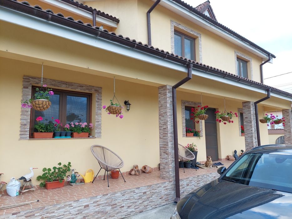 Vând casă  Vânatori