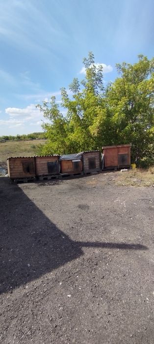 Бутка собаки..б.у.