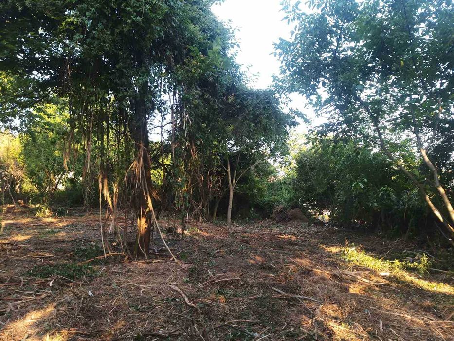 Продава се Парцел в с. Гълъбник, Област Перник - 2000 кв.м за 35 €/кв.м - Снимка #6