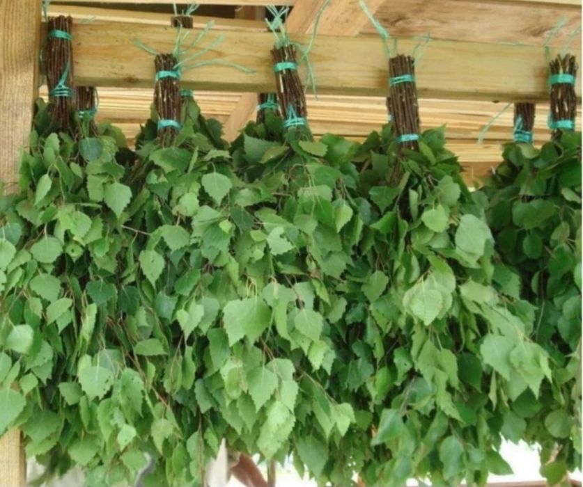 Банные веники Береза.Дуб.