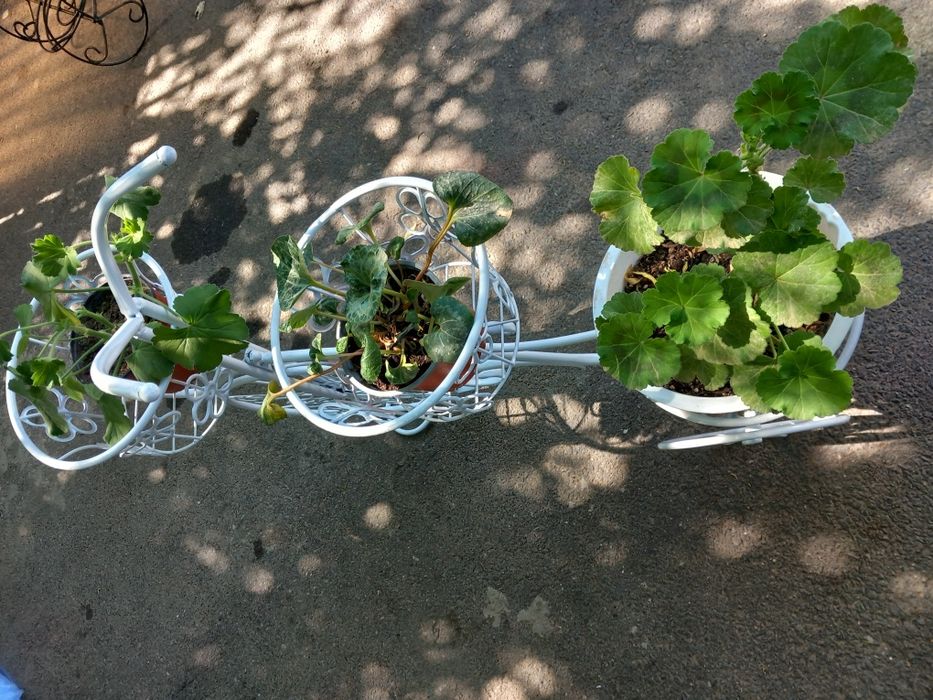 Biciclete suport ornamente flori.