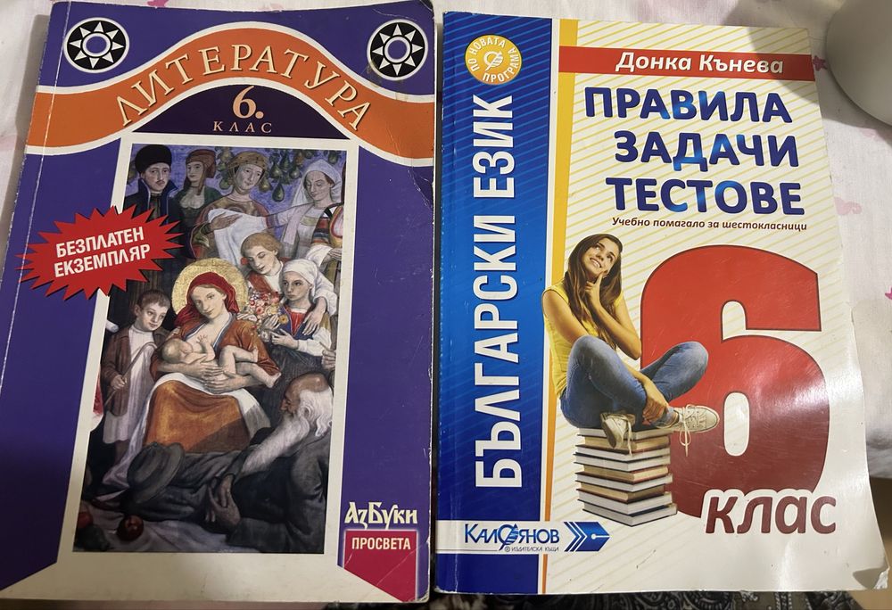 Задачи тестове по български език 6 клас