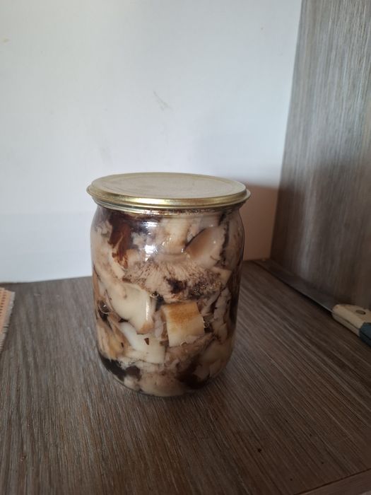 Грибы валуи очень вкусные