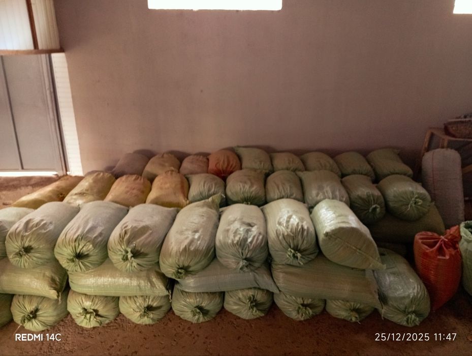 Биогомс и  чуалчанг