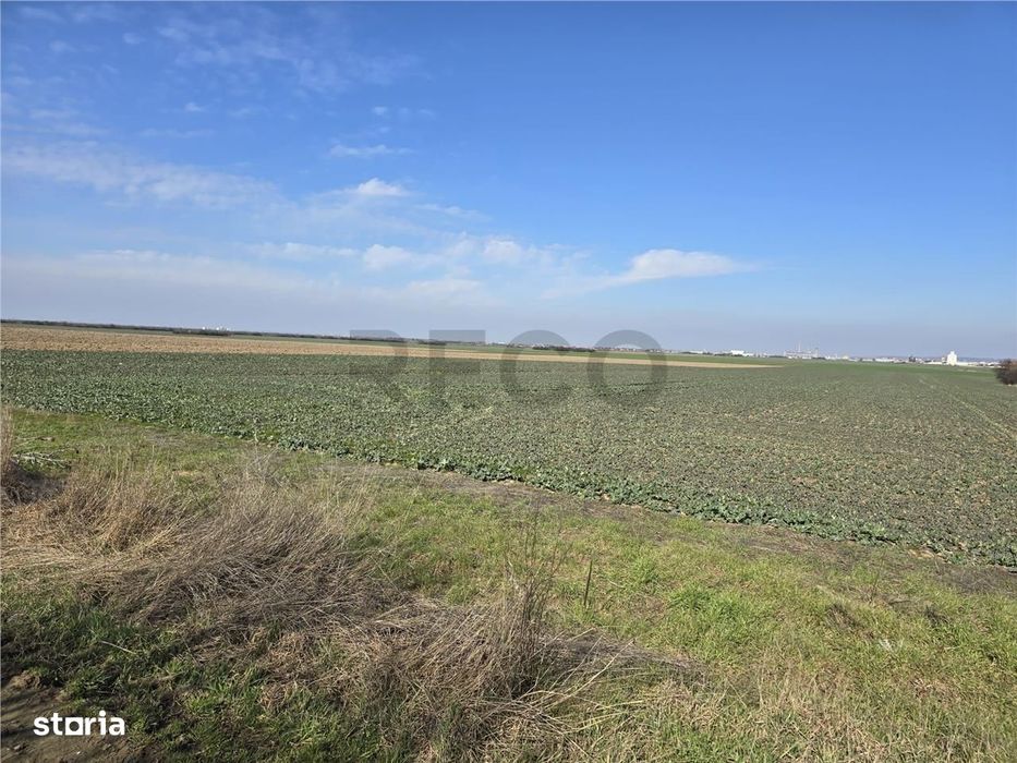 RECO Teren in Oradea