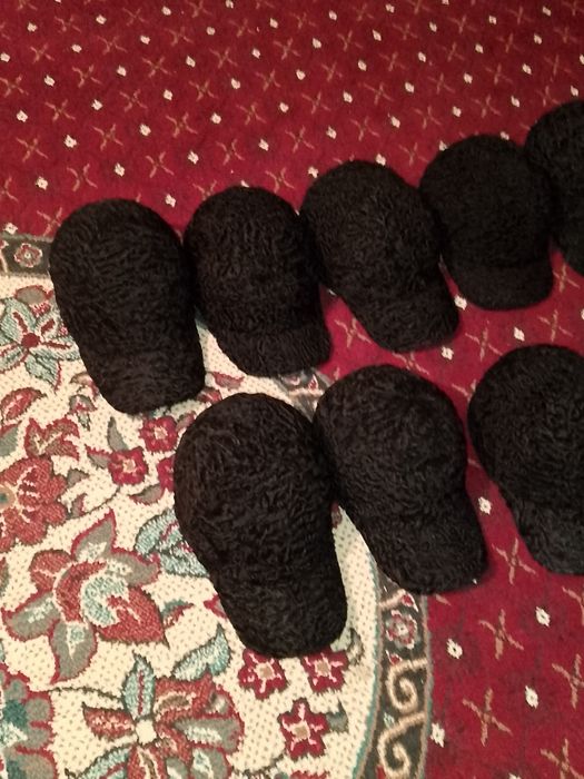 Коракул теридан кепка