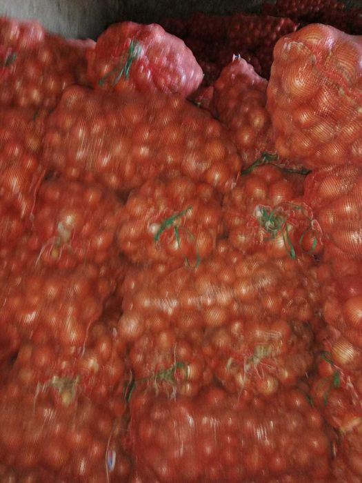 Лук крупный-калибровка 5-12 mm