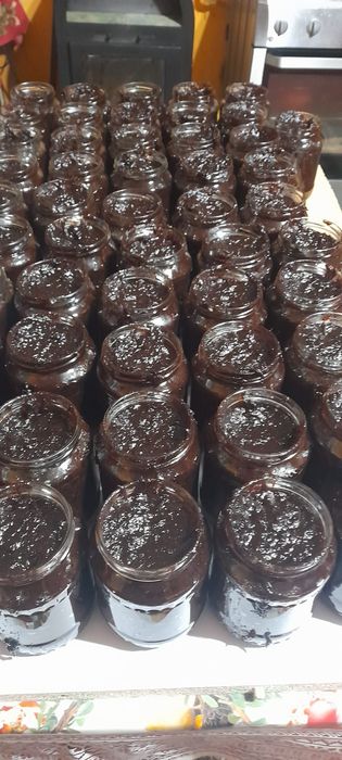 Silvoiți de prune bistrițe eco de casă