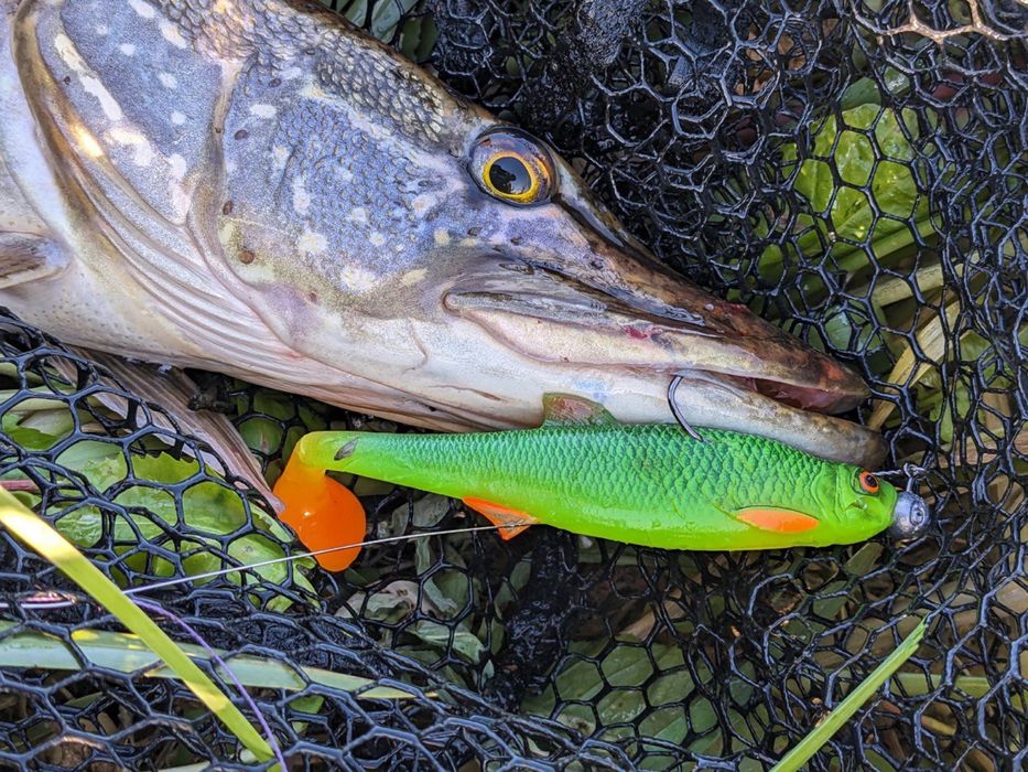 Резиновая приманка На Судака