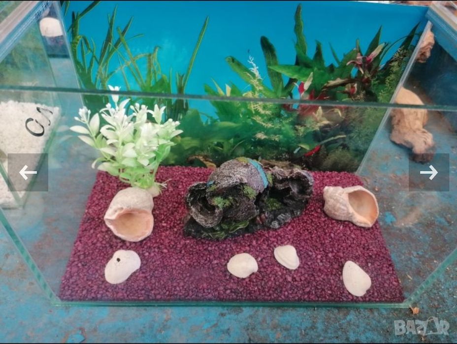 Продавам нови аквариуми и асесоари