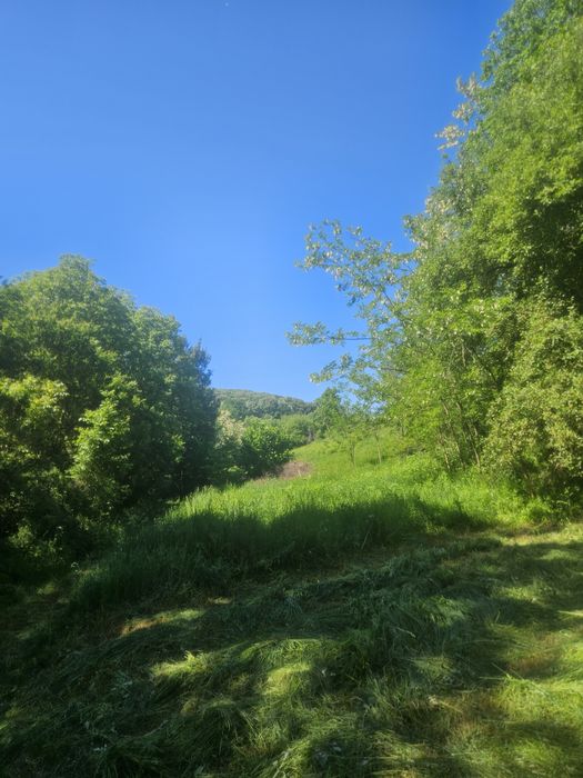 Teren 2600 m2 Ocnele Mari intravilan