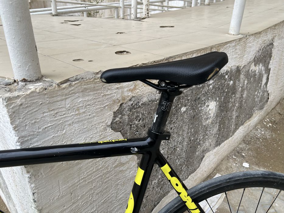 Фикс Lowii черно желтый