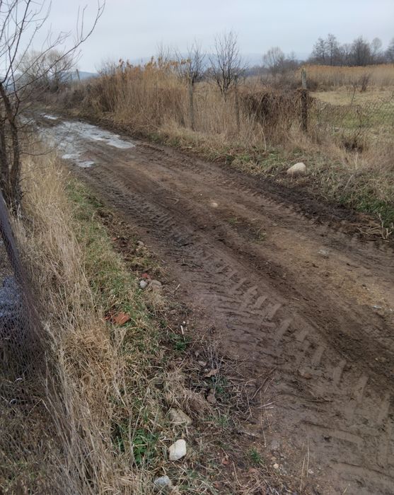 Продава се Парцел в с. Самораново, Област Кюстендил - 7100 кв.м за 15 €/кв.м - Снимка #2